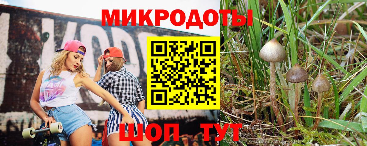 Норильск  Псилоцибиновые грибы ЛСД  Вход с VPN 