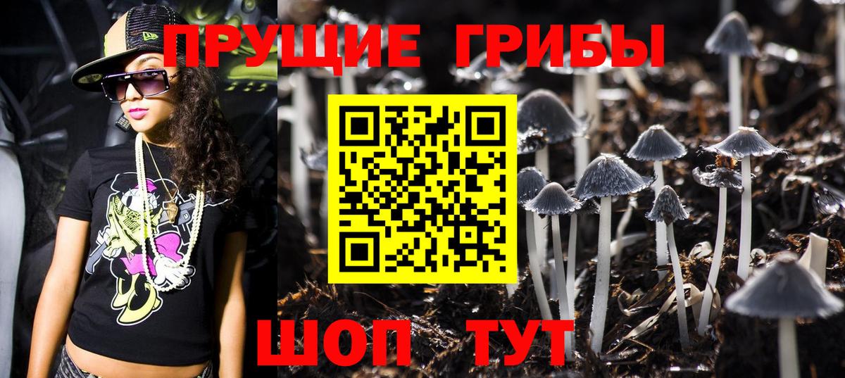 Псилоцибиновые грибы GOLDEN TEACHER Норильск